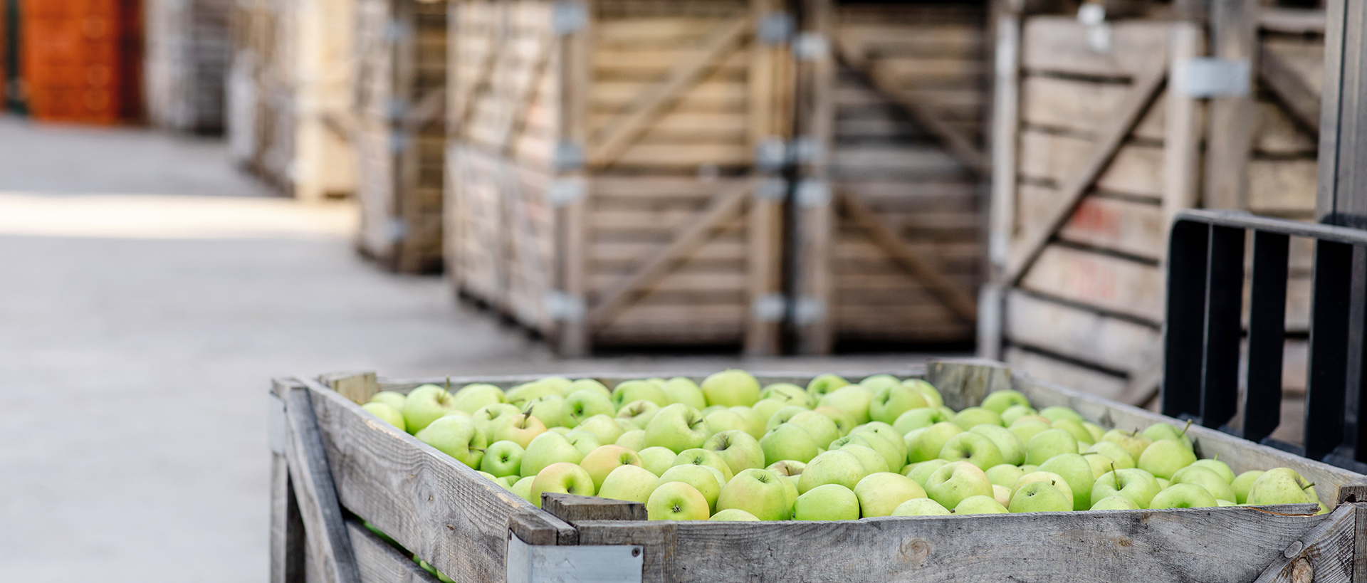 Modernisation d’un entrepôt dans l’industrie agroalimentaire